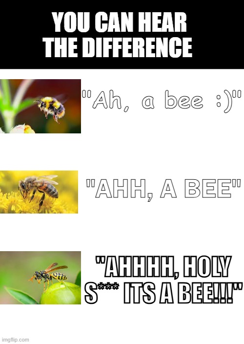 buzz buzzz | You can hear the difference; "Ah, a bee :)"; "ahh, a bee"; "AHHHH, HOLY S*** ITS A BEE!!!" | image tagged in bees,funny | made w/ Imgflip meme maker