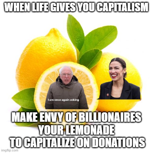when lif gives you lemons | when life gives you capitalism; make envy of billionaires
your lemonade
 to capitalize on donations | image tagged in when lif gives you lemons | made w/ Imgflip meme maker