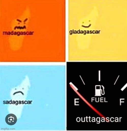 Idk if someone already posted this | image tagged in madagascar,pun | made w/ Imgflip meme maker