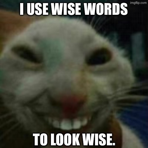 I hate such people. | I use wise words; To look wise. | image tagged in img_3748 jpeg | made w/ Imgflip meme maker