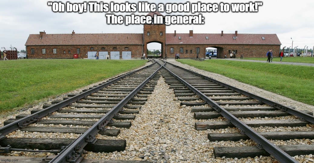 . | "Oh boy! This looks like a good place to work!"
The place in general: | image tagged in auschwitz | made w/ Imgflip meme maker