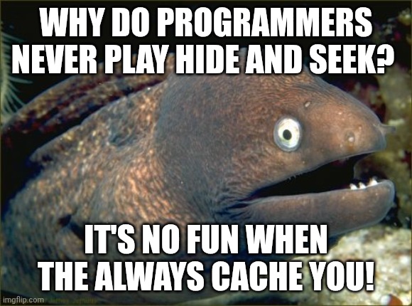 . | Why do programmers never play hide and seek? It's no fun when the always cache you! | image tagged in memes,bad joke eel | made w/ Imgflip meme maker