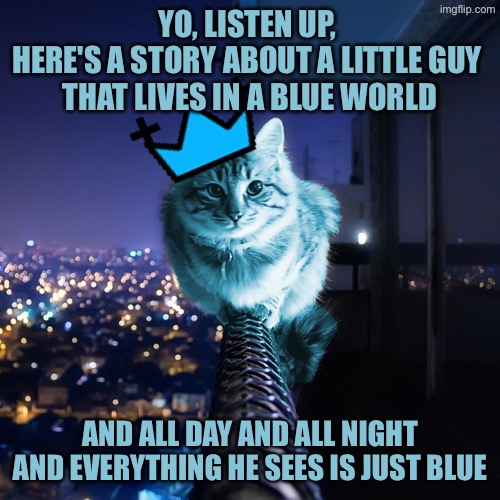 RayCat Wears The Crown | Yo, listen up, 
here's a story About a little guy 
that lives in a blue world; And all day and all night
And everything he sees is just blue | image tagged in raycat wears the crown | made w/ Imgflip meme maker