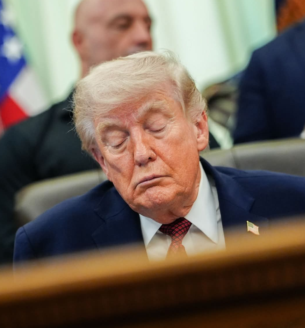 Sleepy Donny Trump Blank Meme Template