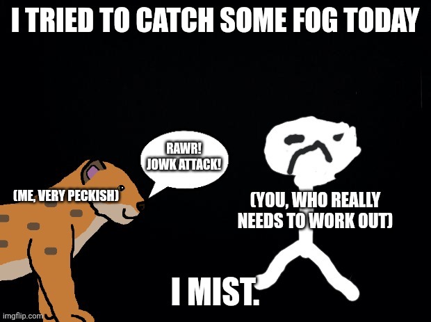 What do you think of the template I made? | I tried to catch some fog today; I mist. | image tagged in asspki jpg,jokes | made w/ Imgflip meme maker