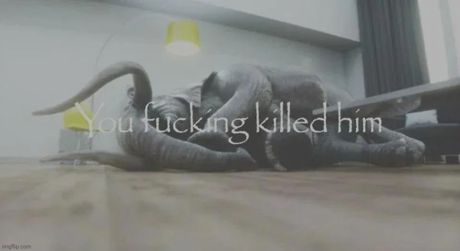 You killed him | image tagged in you killed him | made w/ Imgflip meme maker