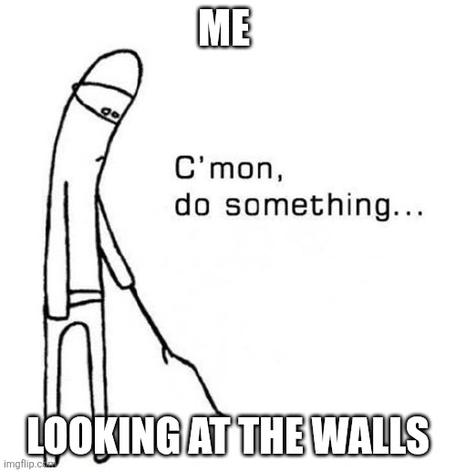 cmon do something | Me; Looking at the walls | image tagged in cmon do something | made w/ Imgflip meme maker