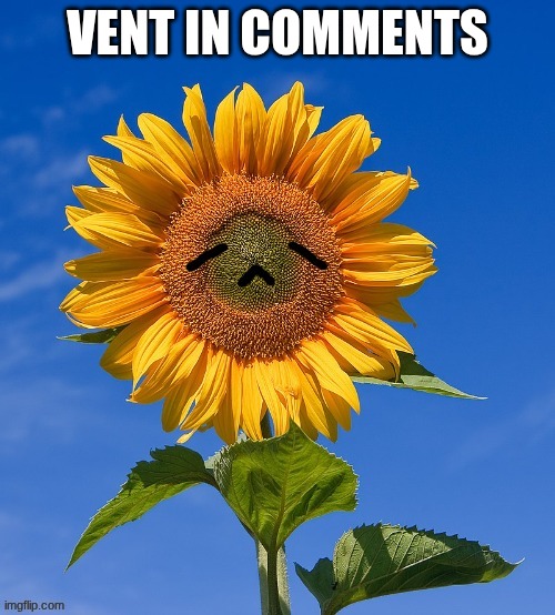 vent in comments | made w/ Imgflip meme maker