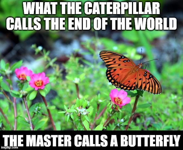 end of the world | what the caterpillar calls the end of the world; the master calls a butterfly | image tagged in master calls a butterfly,caterpillar,butterfly | made w/ Imgflip meme maker
