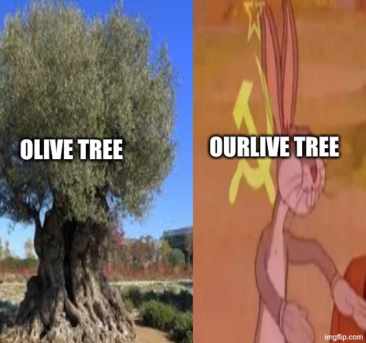 OURlive tree | ourlive tree; olive tree | image tagged in olive tree,communist,bugs bunny communist | made w/ Imgflip meme maker