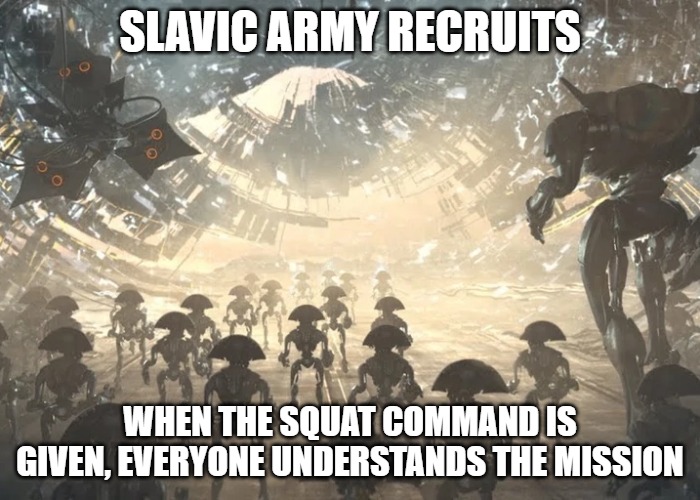 Destiny vex army | SLAVIC ARMY RECRUITS; WHEN THE SQUAT COMMAND IS GIVEN, EVERYONE UNDERSTANDS THE MISSION | image tagged in destiny vex army,slavic army | made w/ Imgflip meme maker