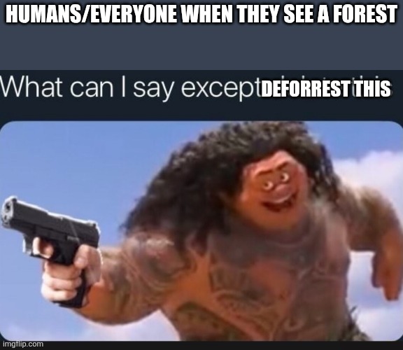 DONT CHOP DOWN TREES! | Humans/Everyone when they see a forest; Deforrest this | image tagged in what can i say except delete this,save the earth | made w/ Imgflip meme maker