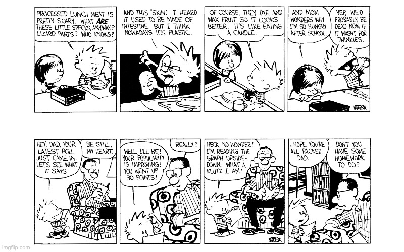 IMG_5528.jpeg | image tagged in calvin and hobbes,comics | made w/ Imgflip meme maker