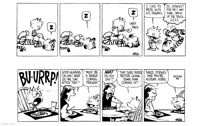 IMG_5529.jpeg | image tagged in calvin and hobbes,comics | made w/ Imgflip meme maker