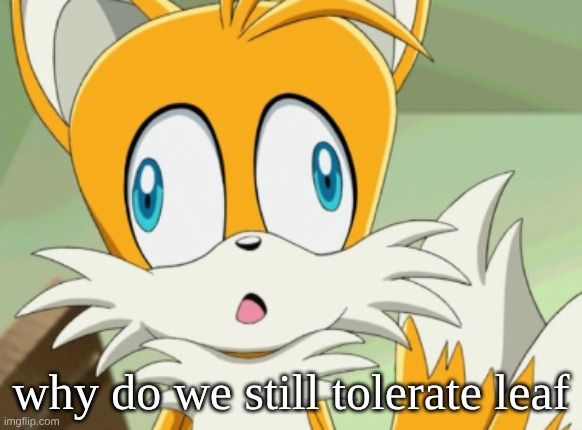tails derp | why do we still tolerate leaf | image tagged in screenshot 2026-05-22 12 43 07 pm png | made w/ Imgflip meme maker
