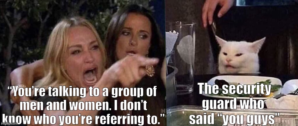 True story | The security guard who 
said “you guys”; “You’re talking to a group of 
men and women. I don’t know who you’re referring to.” | image tagged in woman yelling at cat,karen | made w/ Imgflip meme maker
