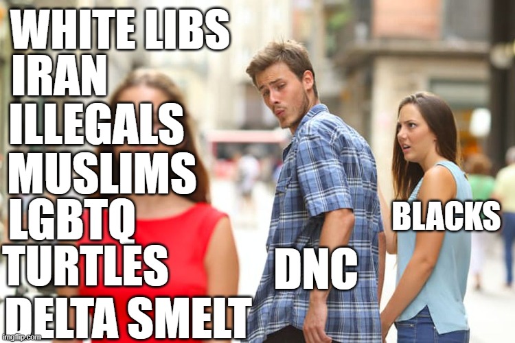 Distracted Boyfriend Meme | White Libs; IRAN; Illegals; Muslims; LGBTQ; Blacks; Turtles; DNC; Delta Smelt | image tagged in memes,distracted boyfriend | made w/ Imgflip meme maker