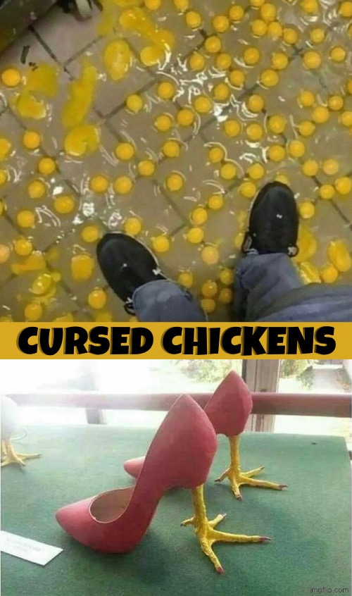 Cursed Chickens | Cursed chickens | image tagged in cursed images,eggs,feet,high heels,dead,fashion | made w/ Imgflip meme maker