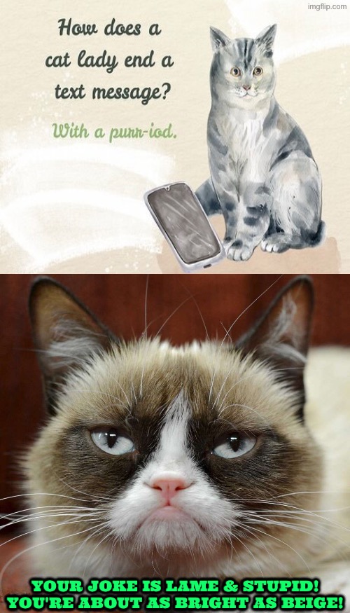 Miss Grump Is Not Amused | Your joke is lame & stupid! You're about as bright as beige! | image tagged in cats,grumpy cat,grumpy cat insults,lame,jokes,duhhh dumbass | made w/ Imgflip meme maker