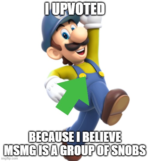 Luigi from Great Mission | i upvoted because i believe msmg is a group of snobs | image tagged in luigi from great mission | made w/ Imgflip meme maker