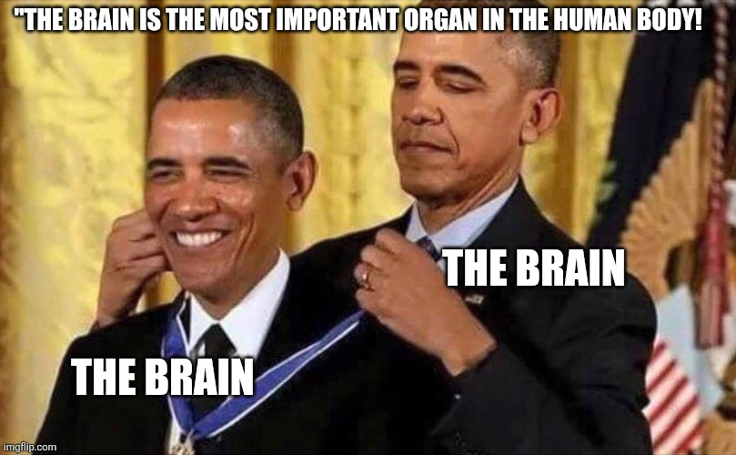 obama medal | "The Brain is the most Important organ in the human body! The Brain; The Brain | image tagged in obama medal | made w/ Imgflip meme maker