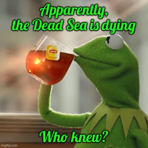 But That's None Of My Business | Apparently, the Dead Sea is dying; Who knew? | image tagged in memes,but that's none of my business,kermit the frog | made w/ Imgflip meme maker
