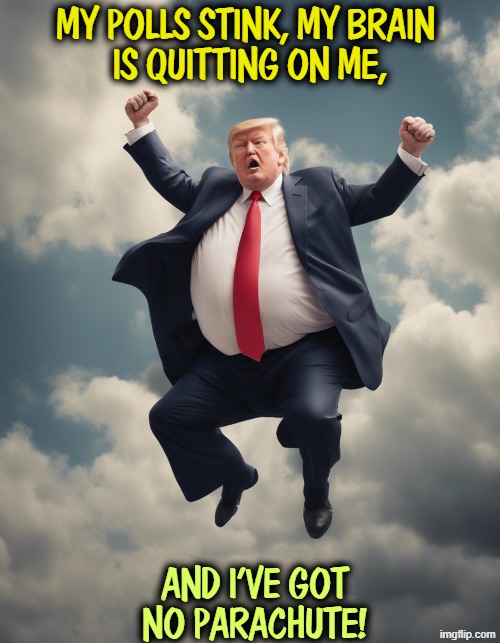My polls stink, my brain 
is quitting on me, and I've got no parachute! | image tagged in trump,disapproval,senile dementia,freefall,parachute | made w/ Imgflip meme maker