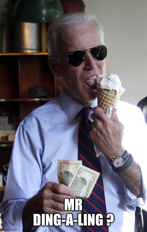 Joe Biden Ice Cream and Cash | Mr ding-a-ling ? | image tagged in joe biden ice cream and cash | made w/ Imgflip meme maker