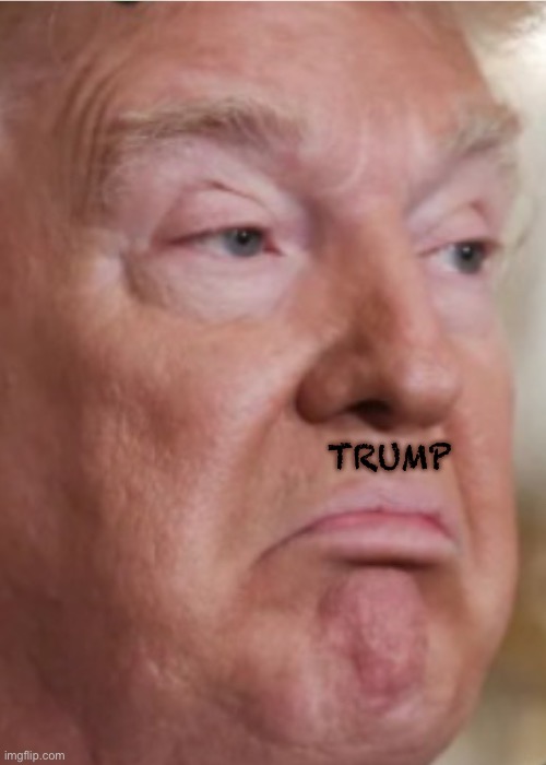 IMG_8509.jpeg | Trump | image tagged in img_8509 jpeg | made w/ Imgflip meme maker