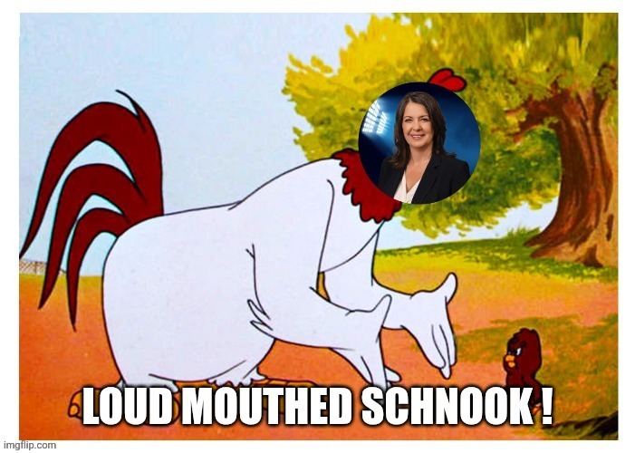 Canadian politics | image tagged in political meme | made w/ Imgflip meme maker