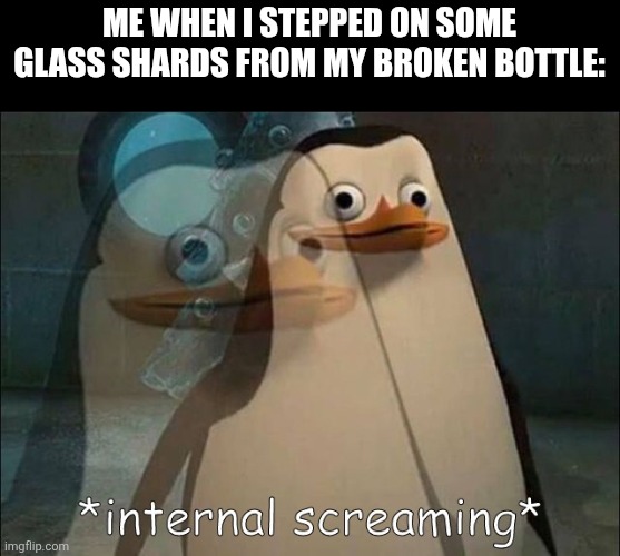Private Internal Screaming | Me when I stepped on some glass shards from my broken bottle: | image tagged in memes,glass,bottle | made w/ Imgflip meme maker