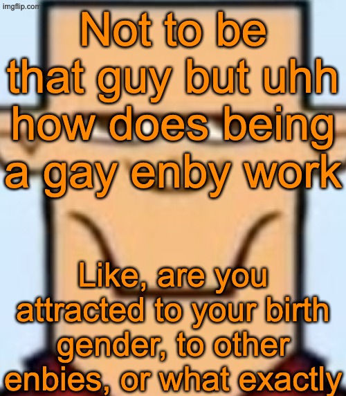 How does ts work | Not to be that guy but uhh how does being a gay enby work; Like, are you attracted to your birth gender, to other enbies, or what exactly | made w/ Imgflip meme maker