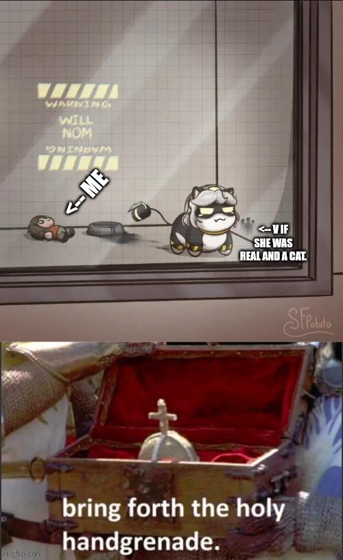 V be like: | <-- Me; <-- V if she was real and a cat. | image tagged in v be like | made w/ Imgflip meme maker