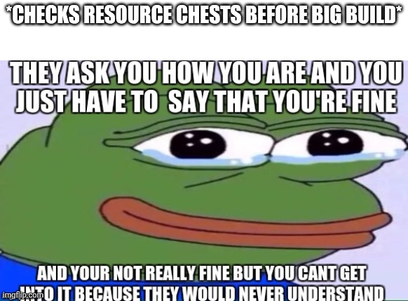 Life of a Minecraft  builder in one image: | *checks resource chests before big build* | image tagged in 2077sf jpg | made w/ Imgflip meme maker