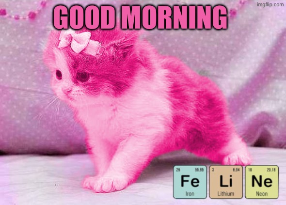 RayCatjr is a FeLiNe | Good morning | image tagged in raycatjr is a feline | made w/ Imgflip meme maker
