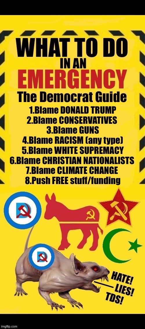 They blame everything except themselves and their actions | 1.Blame DONALD TRUMP
2.Blame CONSERVATIVES 
3.Blame GUNS
4.Blame RACISM (any type)
5.Blame WHITE SUPREMACY
6.Blame CHRISTIAN NATIONALISTS 
7.Blame CLIMATE CHANGE 
8.Push FREE stuff/funding | image tagged in political meme,what to do,emergency,democrats,blame,tds | made w/ Imgflip meme maker