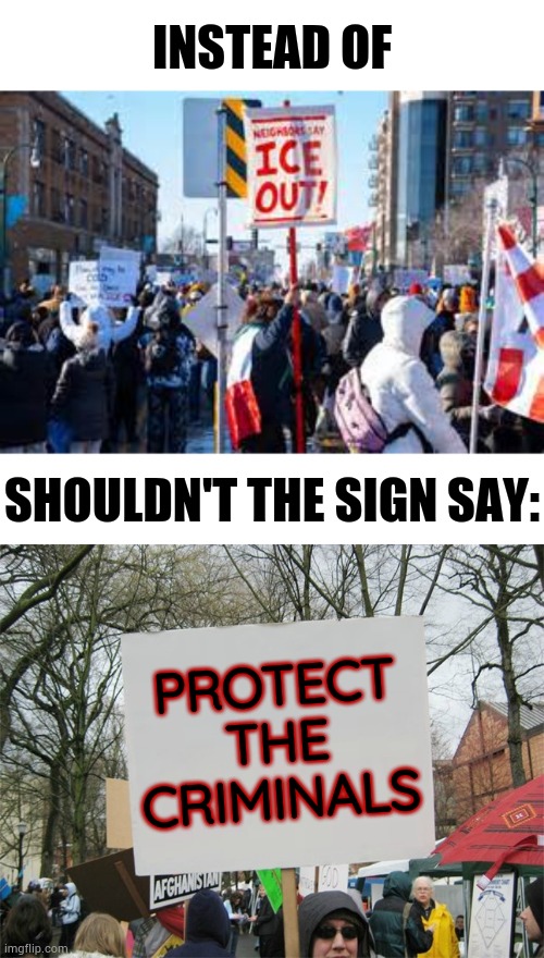 But... | Instead of; Shouldn't the sign say:; Protect the criminals | image tagged in blank protest sign,criminal,protection,democrats,politics,memes | made w/ Imgflip meme maker