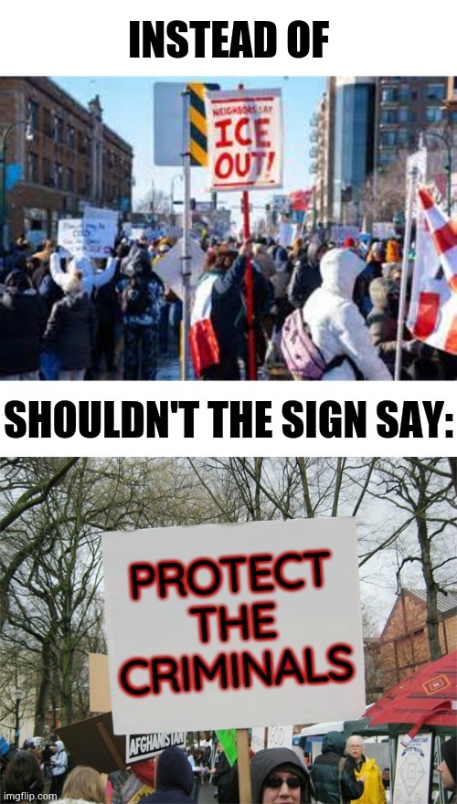 But... | image tagged in memes,protect,criminals,get,rid of,ice | made w/ Imgflip meme maker