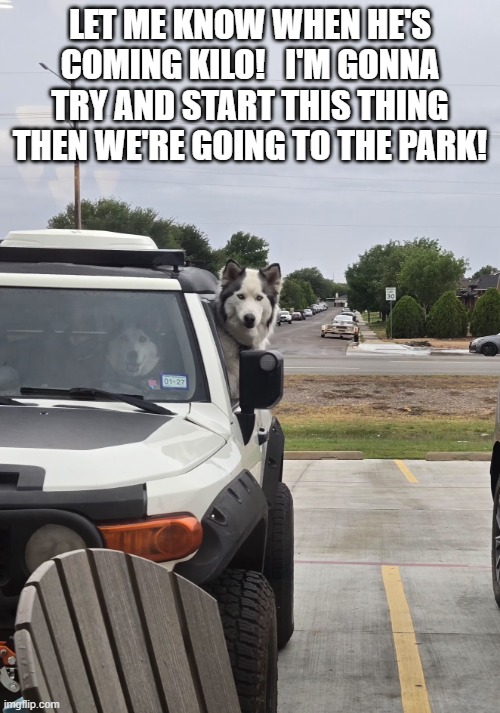 Husky mischief | let me know when he's coming kilo!   i'm gonna try and start this thing then we're going to the park! | image tagged in 20260526_183052 1 jpg,mischief,husky,funnydog,dogdriving | made w/ Imgflip meme maker