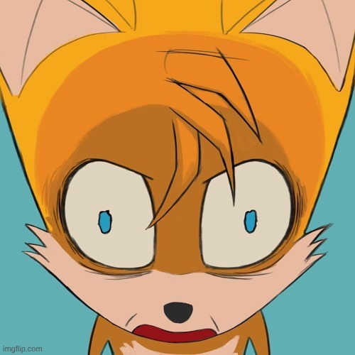 Tails had enough | image tagged in tails had enough | made w/ Imgflip meme maker