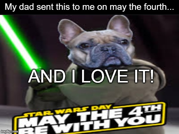 May the Fourth be with you | My dad sent this to me on may the fourth... AND I LOVE IT! | image tagged in yoda,bulldog,may the 4th | made w/ Imgflip meme maker