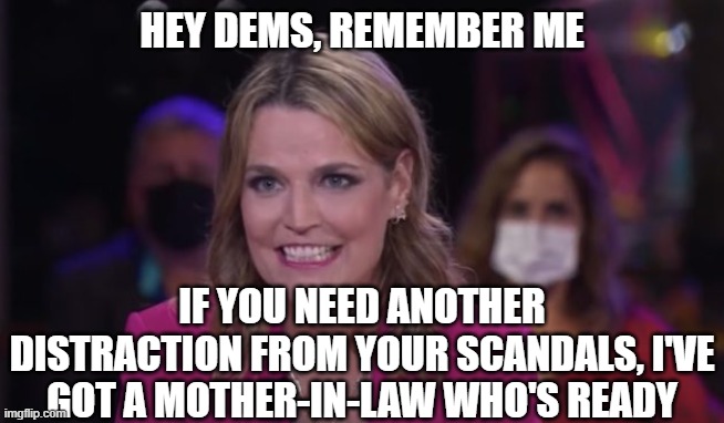 Savannah Guthrie Seething Donald Trump | hey dems, remember me; if you need another distraction from your scandals, I've got a mother-in-law who's ready | image tagged in savannah guthrie seething donald trump | made w/ Imgflip meme maker