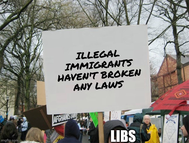 Blank protest sign | Illegal Immigrants haven't broken any laws Libs | image tagged in blank protest sign | made w/ Imgflip meme maker