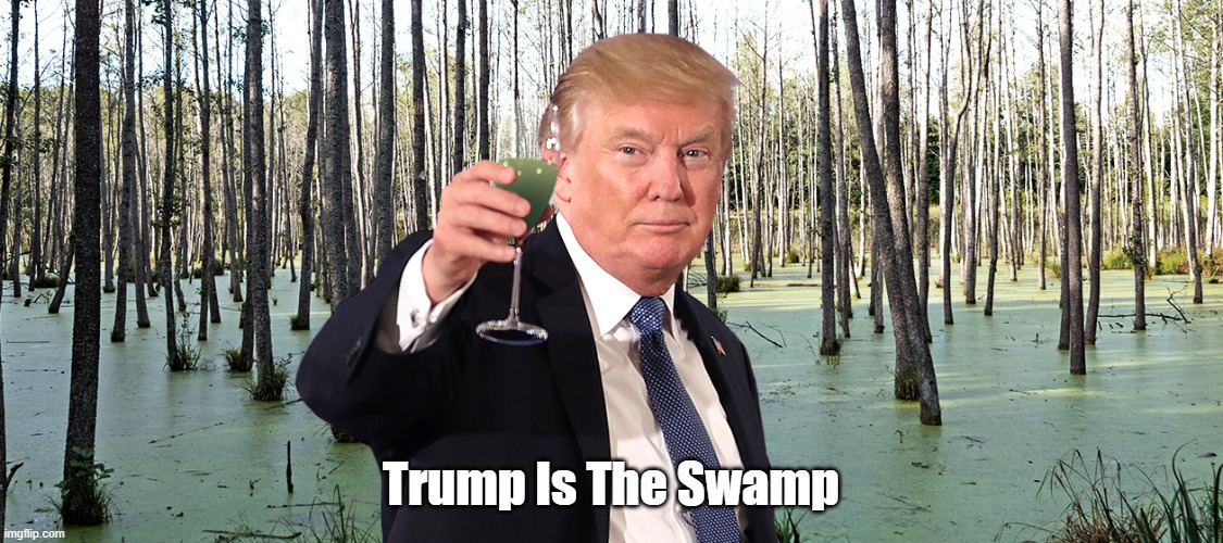 Trump Is The Swamp | Trump Is The Swamp | image tagged in trump,swamp,corruption,bottom feeders | made w/ Imgflip meme maker