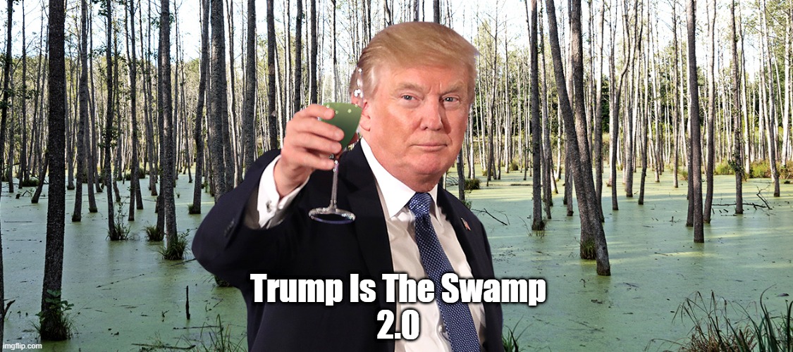 Trump Is The Swamp, 2.0 | Trump Is The Swamp
2.0 | image tagged in trump,swamp,grift,graft,extortion,feloniousness | made w/ Imgflip meme maker
