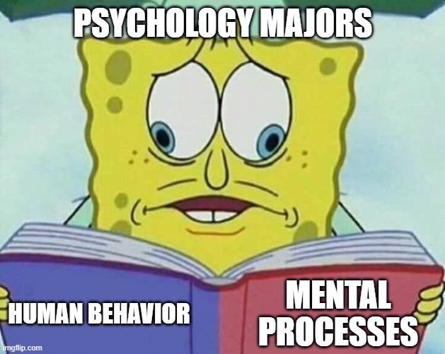 cross eyed spongebob | psychology majors; mental processes; human behavior | image tagged in cross eyed spongebob | made w/ Imgflip meme maker