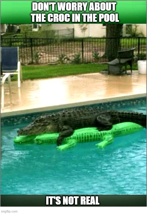 Why Not Offer Your Unwanted Guests A Nice Swim ? | Don't Worry About 
The Croc In The Pool; It's Not Real | image tagged in unwanted house guest,swimming pool,crocodile | made w/ Imgflip meme maker