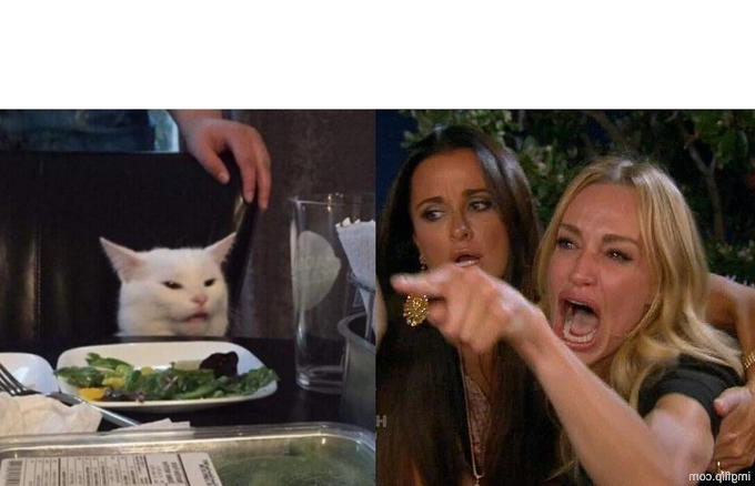 High Quality Cat yelled at by a woman Blank Meme Template