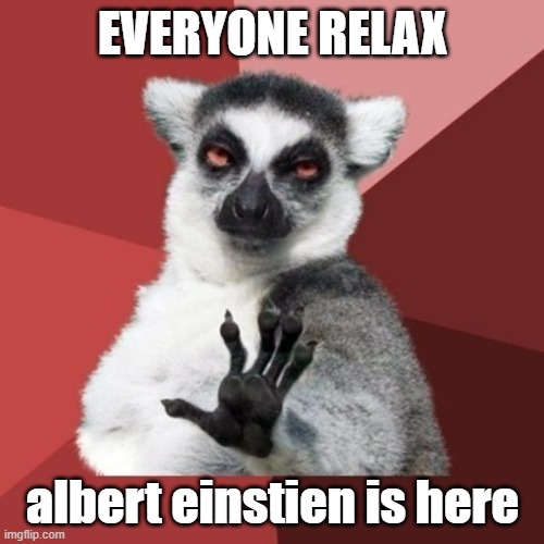 EVERYONE RELAX albert einstien is here | image tagged in memes,chill out lemur | made w/ Imgflip meme maker