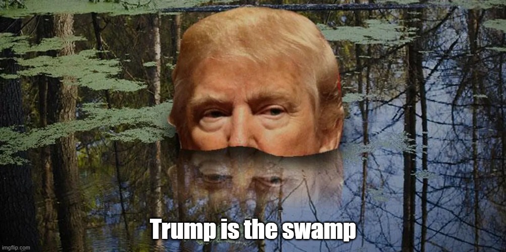 Trump Is The Swamp | Trump is the swamp | image tagged in trump,swamp,corruption,bottom feeders | made w/ Imgflip meme maker